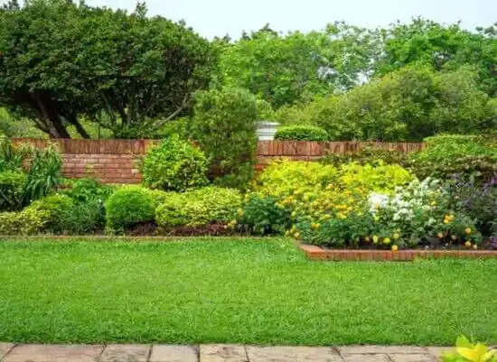 landscaping services Beechwood